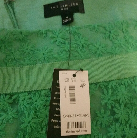 NWT Spring Lace Skirt - Picture 4 of 4